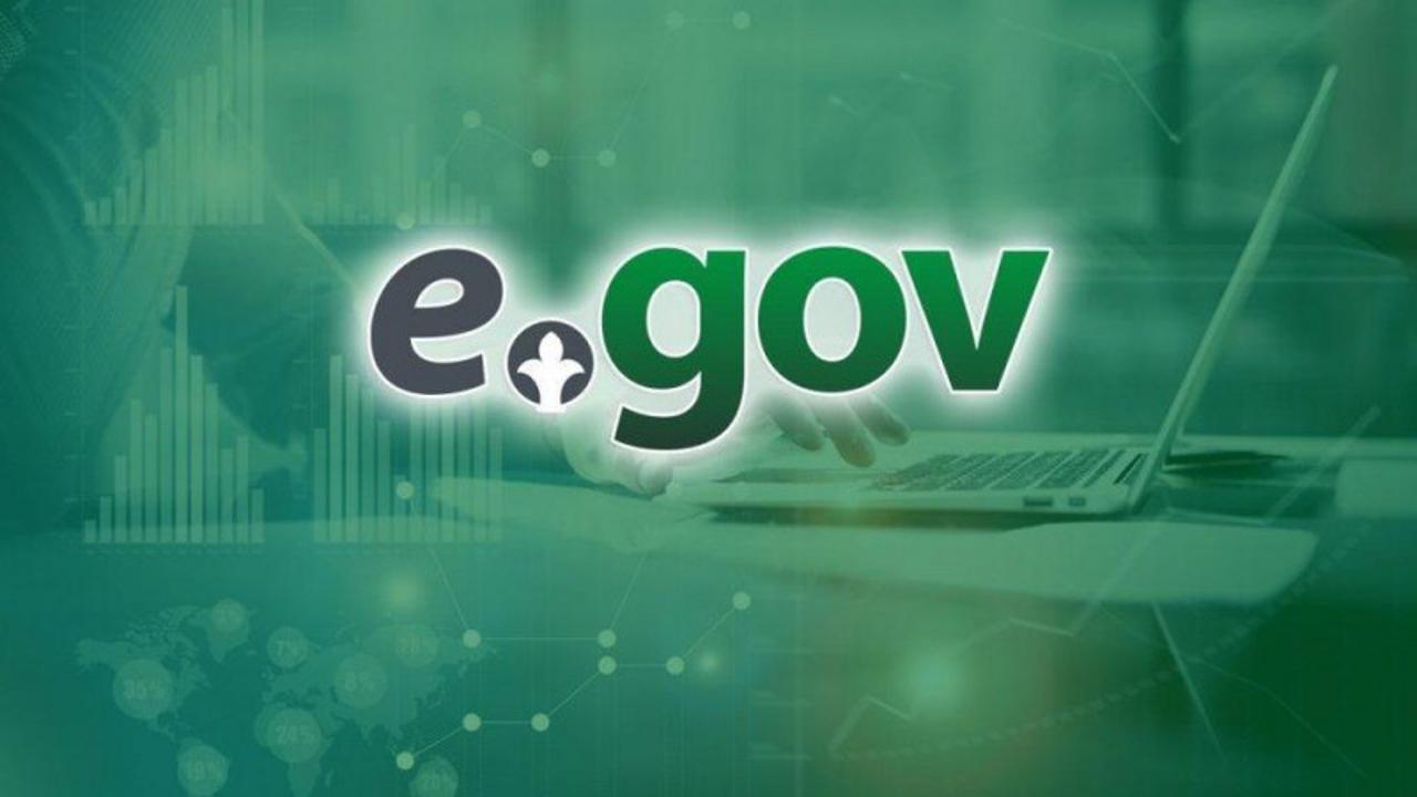 Теперь декларацию о доходах и имуществе (форма 270.00) физическим лицам можно подать через портал eGov.kz и мобильное приложение еGov mobile!